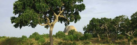 Sri Lanka Trekkingreisen © B&N Tourismus