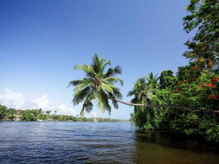 Bentota River und Mangroven © Centara Hotels & Resorts