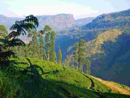 Nuwara Eliya Jetwing St. Andrew's © Jetwing Hotels Sri Lanka