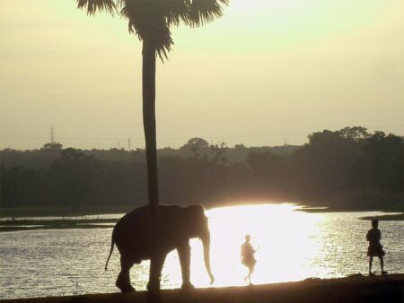 Yala National Park © B&N Tourismus