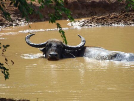 Yala National Park © B&N Tourismus