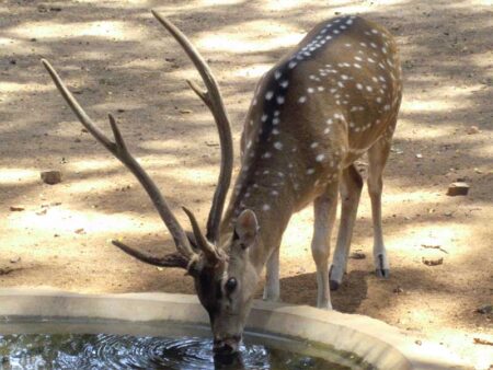 Yala National Park © B&N Tourismus