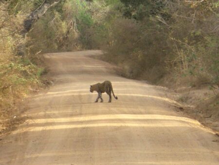 Yala National Park © B&N Tourismus